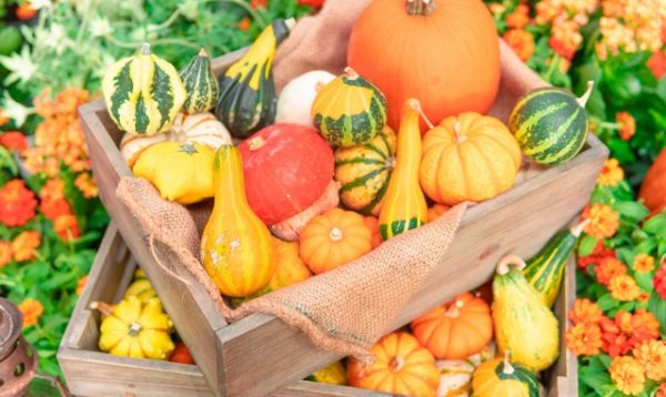 ハロウィンをもっと楽しむ手作りえびせんレシピの作り方