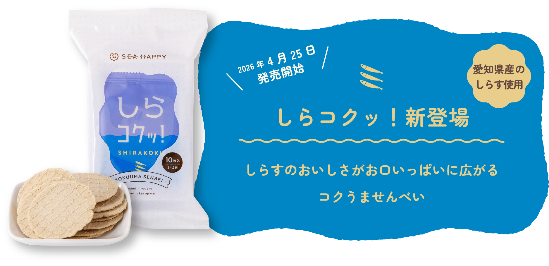 しらコクッ！新登場