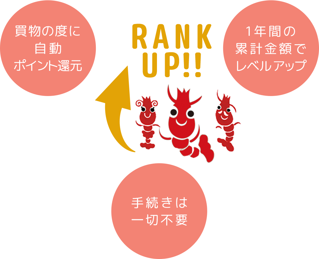 ランクアップイメージ